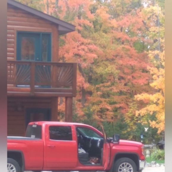 Sigrid Olsen Vee Neck Blouse Knit TOP  Geometric Print  Sz 2X - Picture 8 of 15